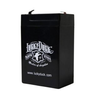 Lucky Duck 6V Rechargeable Battery - Image 1