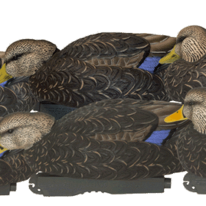 Avery GHG Pro Grade XD Series Black Duck Decoys