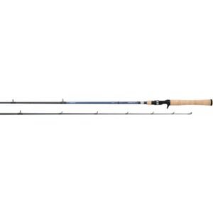 Daiwa Aird Coastal Inshore Medium Casting Rod - Image 1